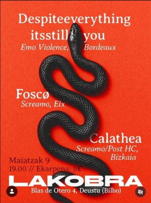 "Despite Everything its still you + Foscø + Calathea"