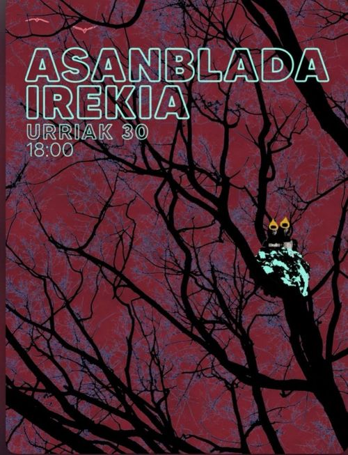 ASANBLADA IREKIA