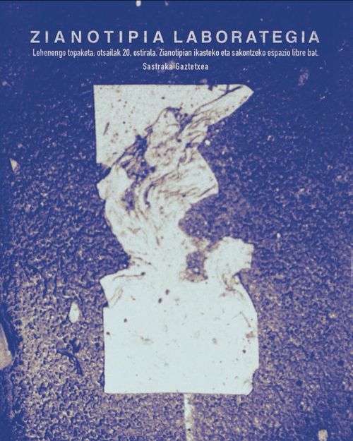 ZIANOTIPIA LABORATEGIA