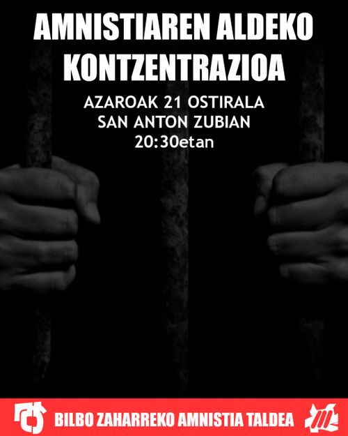 AMNISTIAREN ALDEKO KONTZENTRAZIOA 