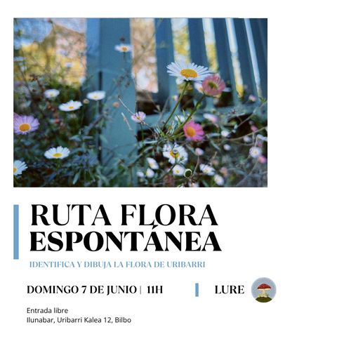 Ruta flora espontánea Uribarri: un paseo por el barrio